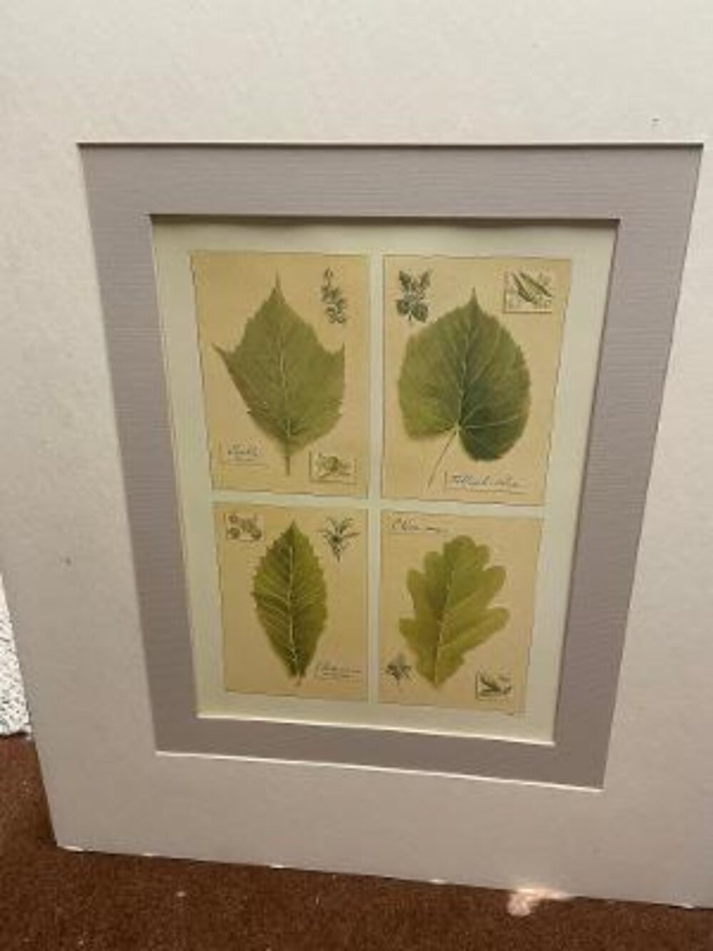 Ready to Frame Leaf Prints by L. David - Picture 2 of 8